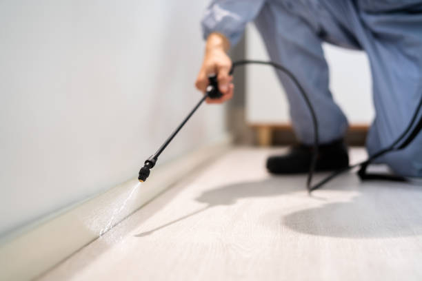 Licensed Pest Control service in Janesville, CA - Show Me Pest Control