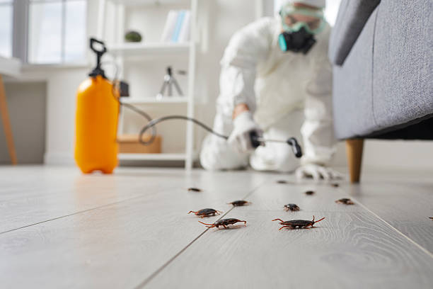 Commercial Rodent Management in Janesville